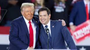 "New York Times": Trump wird wahrscheinlich Floridas Senator Marco Rubio zum US-Au&szlig;enminister ernennen