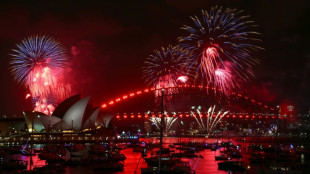 World welcomes 2026 with fireworks after year of Trump and turmoil