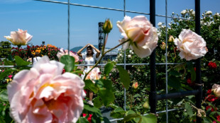 El PIB de Jap&oacute;n se contrae un 0,2% en el primer trimestre