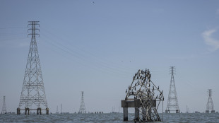 Petrolio in deciso ribasso, Brent -2% a 98,3 dollari al barile