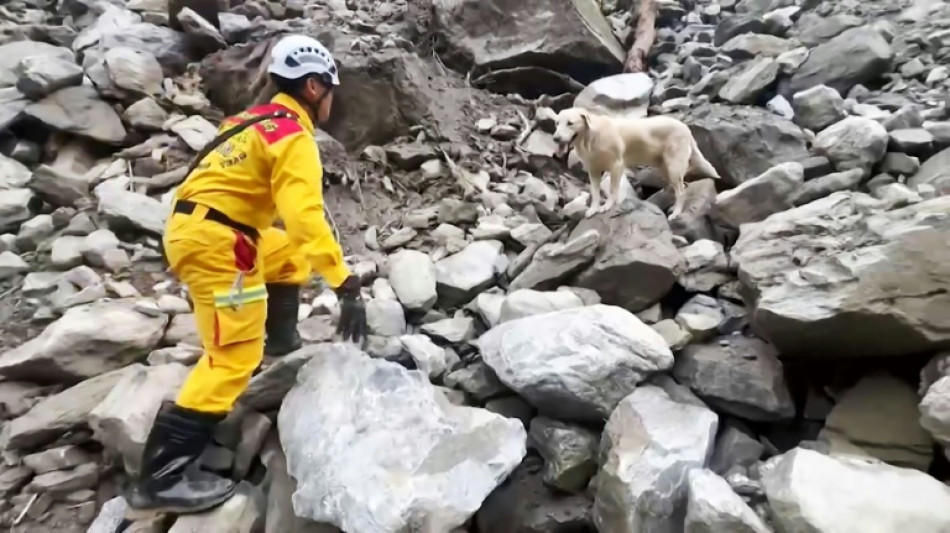 S&eacute;isme &agrave; Ta&iuml;wan: &agrave; la recherche de victimes, les chiens sauveteurs gagnent les coeurs