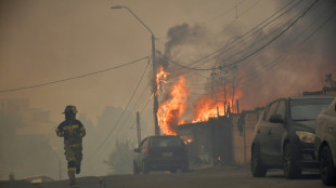 Incendies au Chili : au moins 15 morts et 50.000 personnes &eacute;vacu&eacute;es