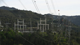 Interconnectivity: the cornerstone of the European electricity network