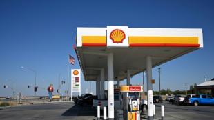 Shell net profit sinks 35% in first-quarter as oil prices fall