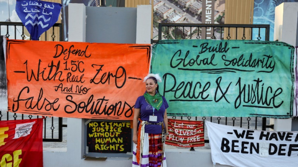 Les n&eacute;gociations climatiques de la COP27 au bord du gouffre