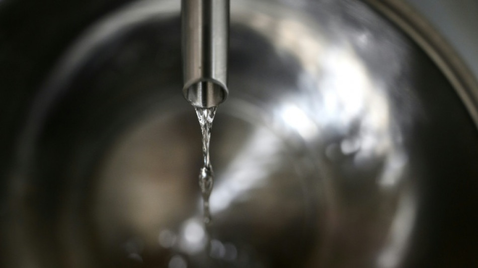 Europ&auml;ischer Gerichtshof: Alkoholfreies Getr&auml;nk darf nicht als Gin verkauft werden