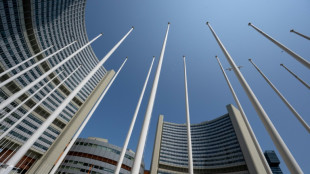 Ir&aacute;n afirma que el regreso de los inspectores de la OIEA no implica una reanudaci&oacute;n plena de la cooperaci&oacute;n