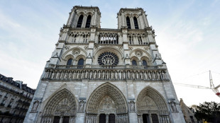 Macron offers first glimpse of post-fire Notre Dame