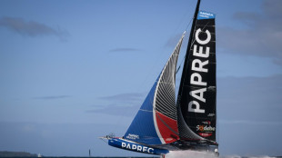 Vend&eacute;e Globe: Richomme creuse l'&eacute;cart sur Dalin, Simon en vue du Cap Horn