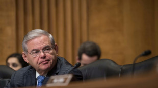 Investigan en Nueva York a un influyente senador dem&oacute;crata
