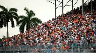 Piastri erneut am st&auml;rksten - Jungvater Verstappen Vierter 