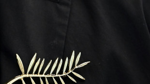 Le Festival d&eacute;voile son palmar&egrave;s en plein black-out sur Cannes