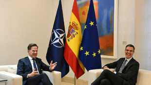 Portugal y Espa&ntilde;a se comprometen a aumentar su gasto militar en el marco de la OTAN