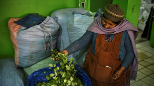 El Chapare, la tierra de la coca que desaf&iacute;a al gobierno de Bolivia