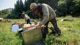 Apr&egrave;s le printemps maussade, une "ann&eacute;e noire" pour les apiculteurs