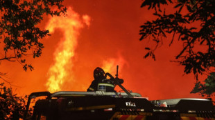Nouvel &eacute;pisode caniculaire en France, 1.700 hectares br&ucirc;l&eacute;s en Gironde