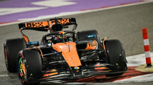 McLaren confirma su poder&iacute;o en los segundos libres de Bar&eacute;in