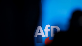 US-Milliard&auml;r Musk sorgt mit Unterst&uuml;tzung der AfD f&uuml;r Diskussionen