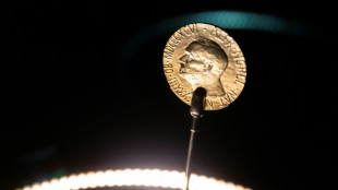 Ukraine ou climat? Le Nobel de la paix d&eacute;cern&eacute; en pleine guerre en Europe