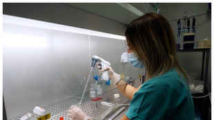 Oltre 1.700 nuove proteine nascoste nel Dna finora trascurato
