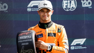 F1/Pays-Bas: Norris &eacute;crase Verstappen et la concurrence en qualifications
