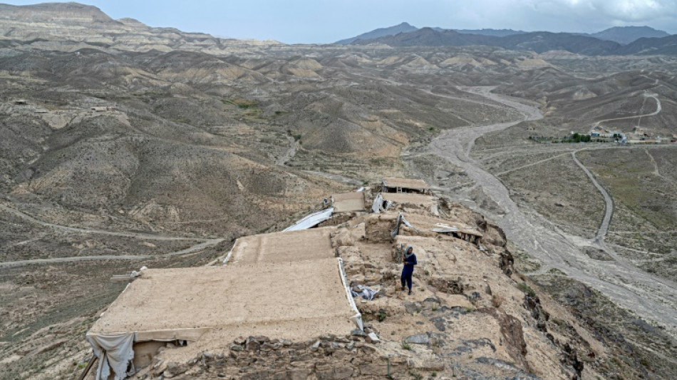 En Afghanistan, une cit&eacute; bouddhiste mill&eacute;naire menac&eacute;e de disparition