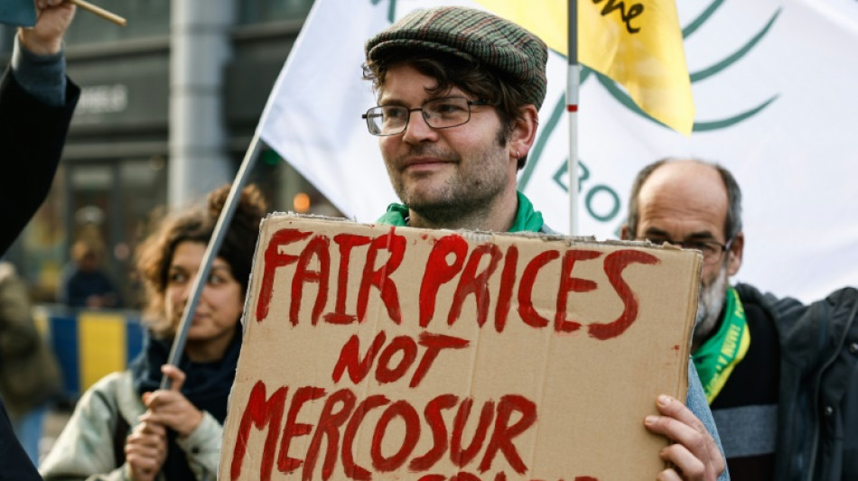 Fran&ccedil;a em p&eacute; de guerra contra o acordo UE-Mercosul