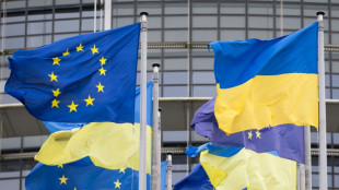 Le Conseil de l'Europe r&eacute;affirme son "entier soutien" &agrave; l'Ukraine