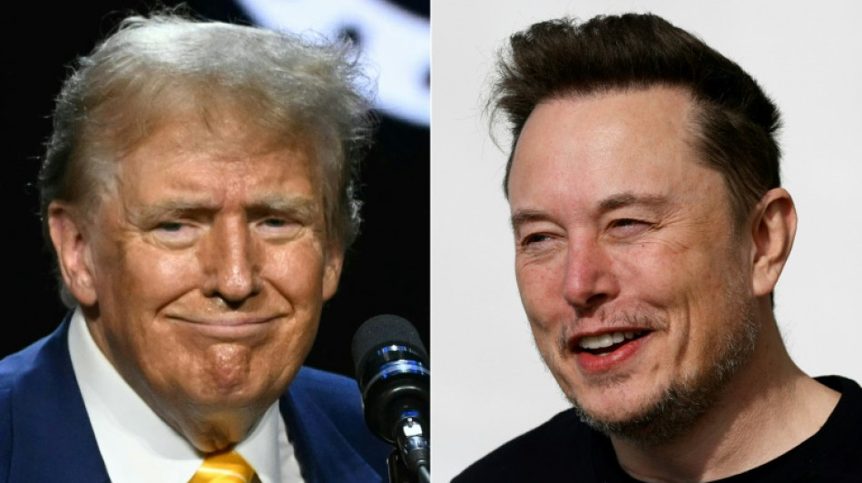 Donald Trump et Elon Musk fraternisent lors d'un &eacute;change marqu&eacute; par une "cyberattaque"