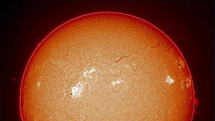 Da Solar Orbiter prime immagini al mondo del polo Sud del Sole