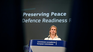 La UE defiende su proyecto de "muro" antidrones ante la amenaza rusa