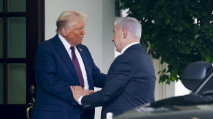 'Trump a Bibi, sei sempre cos&igrave; fottutamente negativo'