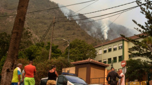 Feu &agrave; Tenerife: les pompiers prot&egrave;gent des maisons, la qualit&eacute; de l'air affect&eacute;e
