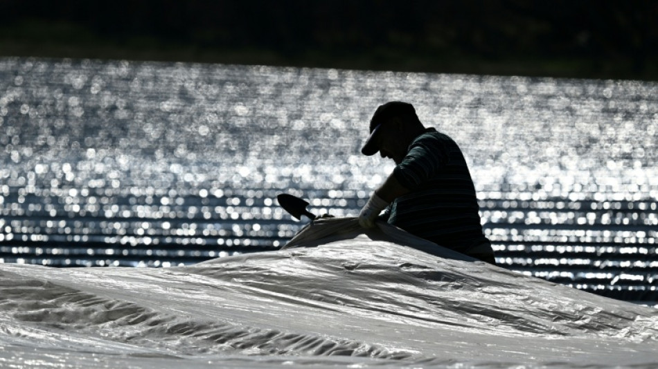 Linken-Chef van Aken fordert Hitzefrei am Arbeitsplatz