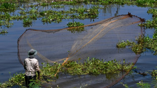 Una de cada cinco especies de peces del r&iacute;o Mekong est&aacute; amenazada de extinci&oacute;n 