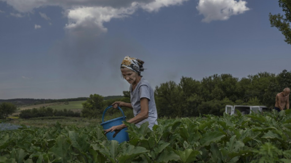 La agricultura en primera l&iacute;nea de fuego en el este de Ucrania
