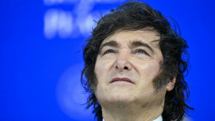 Milei decreta la prohibici&oacute;n de entrada a extranjeros que expresen odio hacia Argentina