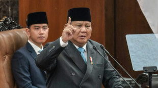 Indonesia reforzar&aacute; control estatal de exportaciones de aceite de palma y carb&oacute;n
