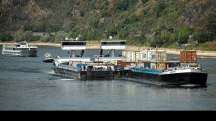 Une p&eacute;niche en panne bloque le Rhin, d&eacute;j&agrave; difficilement navigable par manque d'eau