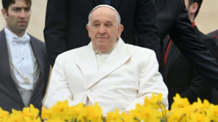 Papa expressa tristeza por mortes de volunt&aacute;rios em Gaza