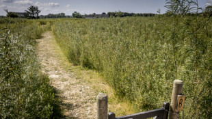 Plus de deux semaines sans pluie : S&eacute;cheresse in&eacute;dite au Danemark depuis 2006