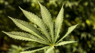 Hohe H&uuml;rden f&uuml;r Cannabisverordnung auf Kosten von Krankenkassen