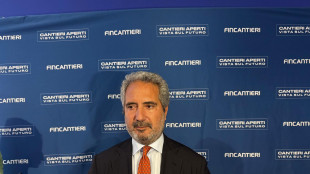 Folgiero, nuovo piano industriale entro anno, priorit&agrave; a difesa