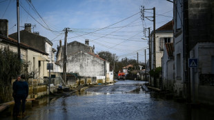 France: un mois de f&eacute;vrier "historique" et "anormalement" chaud et pluvieux