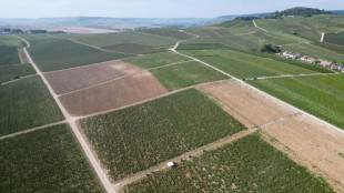 France jails three in champagne 'slaves' case