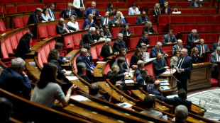 Frankreichs Nationalversammlung stimmt über Sterbehilfe-Gesetz ab