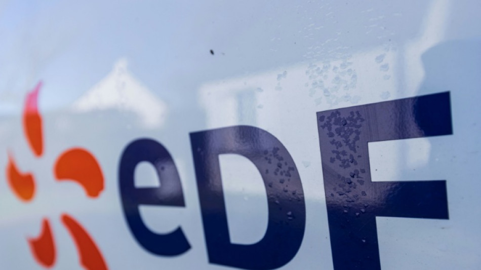 Dans un march&eacute; de l'&eacute;nergie en berne, EDF en qu&ecirc;te d'efficacit&eacute;