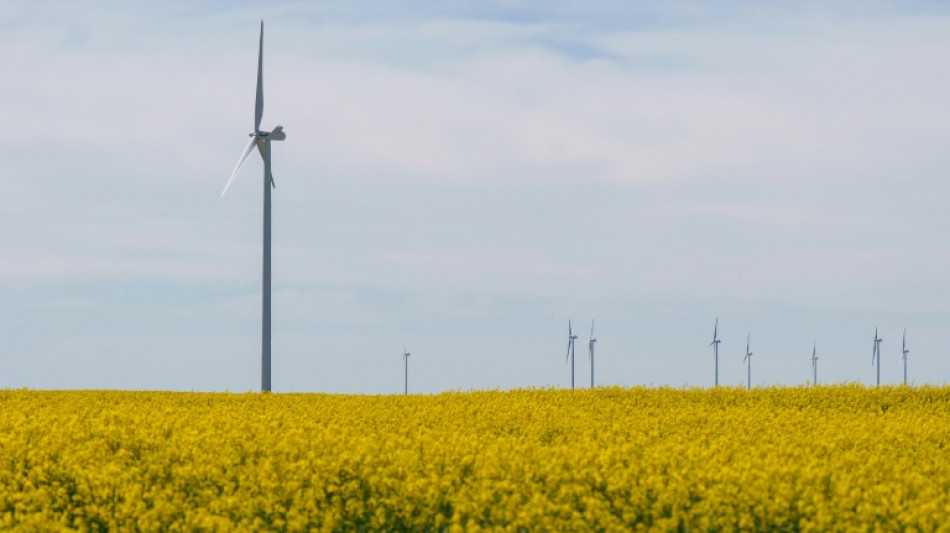 Las energ&iacute;as renovables, en el punto de mira tras el gran apag&oacute;n en Espa&ntilde;a