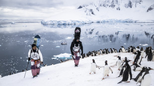 Cervino CineMountain, 50 film selezionati per il concorso