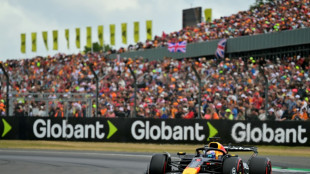 Verstappen shades Piastri for pole at Silverstone